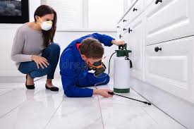 Best Real Estate Pest Inspections  in Elwood, IN